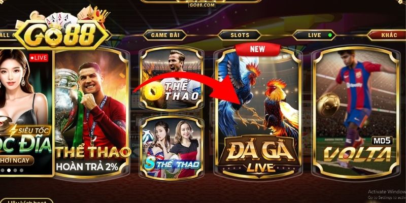 Giới thiệu sảnh đá gà GO88