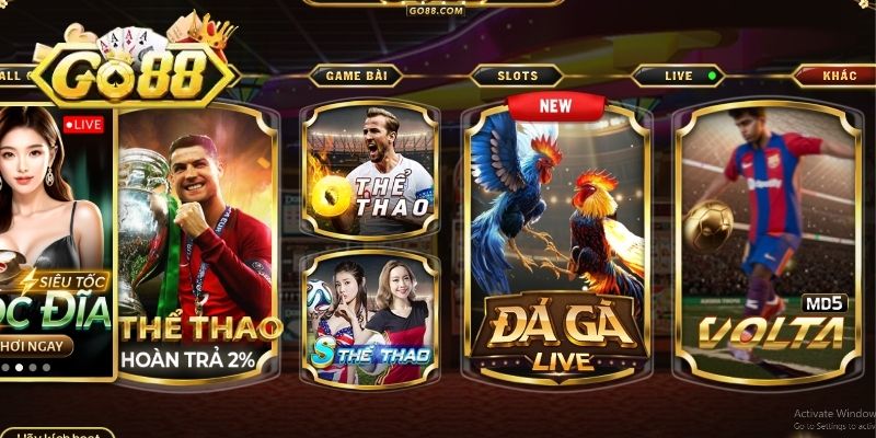 Sơ lược thể thao GO88